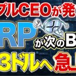 【リップル】リップルが次のビットコイン！驚異的な263ドルへ急上昇
