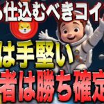 【最新情報】まだ間に合う！初心者でも今すぐ仕込めば勝ち確定コイン3選！【リップル】【シバコイン】【ソラナ】【シバイヌ】【ドージ】【XRP】【SHIB】【DOGE】【BTC】