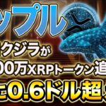 【リップル】クジラが5000万XRPトークン追加！リップル0.6ドル超え