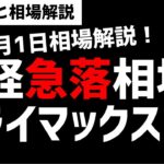 【8月1日のゆるっと相場解説】日経平均株価は下落相場のクライマックスになるのか？ズボラ株投資