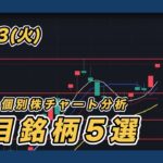 【8/13 指数＆個別株チャート分析】 三菱重工業・CHORDIA・フジクラ・名村造船所・レーザーテック