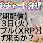 【不定期配信】8月13日リップル(XRP)相場分析【海外FX投資】