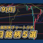【8/19 指数＆個別株チャート分析】 三菱重工業・セブン&アイ・東京エレクトロン・フジクラ・JVCケンウッド