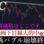 8/5⚠️「緊急！株式も仮想通貨も大暴落でバブル終了？今後の数ヶ月のシナリオを解説します。」ビットコイン分析