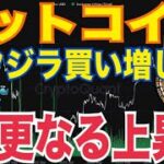 ビットコイン大口保有者（クジラ）買い増し9月価格上昇の可能性！？BTC取引所残高減少で売り圧力軽減か。