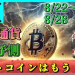 【クジラが脱出中】仮想通貨AI価格予測(2024年8月22日～8月28日)