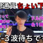 仮想通貨・BTCちょい下落！　ドル円３波待ち　【ドル円×ビットコイン相場分析】