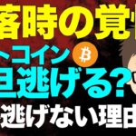 ビットコイン（BTC）一旦逃げる？〜下落時の覚悟！私が逃げない理由！