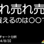 BTC短期チャート分析【2024/8/3】売れ売れ売れ！！買っていいのは○○です！？ドル円・日経平均・S&P500・Gold・豪ドル円・カナダドル
