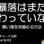 BTC短期チャート分析【2024/8/6】暴落はまだ終わっていない！？一回落ち着こう！！安全な買い場を見極める方法とは！？S&P500・日経平均・ドル円・Gold