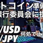 ビットコイン準備法案　銀行委員会提出　何処まで落ちるのか？BTC/JPY BTC/USD どちらを見るべきか?