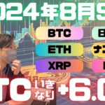 BTCビットコイン大幅上昇で高値圏回復！日経平均もみ合い後の展開は！？【投資VLOG】
