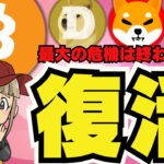 【🔥ビットコイン回復】仮想通貨はもう大丈夫？いや私は〇〇をまだ買う／イーサリアム上昇！ETFに流入が／ソラナも復活！ミームコインが大暴れ／ドージコイン・柴犬は？