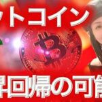 【緊急】ビットコイン暴落 買い増したお 上昇回帰の可能性 NFTまり