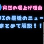SUI突然の爆上げ！？理由は！？SUIの最近のニュースをまとめて解説！！