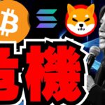 【🔥仮想通貨の危機？】ビットコイン過去最高更新は？選挙戦でどうなる？ハリス氏優勢／Solanaも停滞／