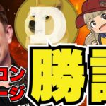 【🔥イーロン・マスク大勝利】ドージコインめぐる裁判が決着！仮想通貨に注目／ビットコイン動かず・今後はどうなる？／Solanaが弱い。ミームコインたちは？POPCATもついに下落。柴犬は？
