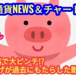 【TON急落はやばいのか？！＆利下げが過去に仮想通貨にもたらしたのは？】本日の相場分析は「BTC・TON・XRP・SUI・SEI・他アルトコイン12種」2024/8/25