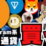 【🔥TON買いました】Telegram系仮想通貨が暴落／ビットコインいつ急騰する？ポイントは6.8万ドル／ミームコイン停滞ムードだが強気！ドージコイン・柴犬に注目が集まる！ポップキャットがやべーぞ