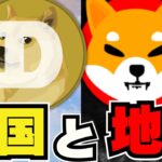 【🔥ドージコインVS柴犬】勝つのはどっち？／ビットコインまた急落！買い時なのか？／ソラナに逆風。10倍上昇はあり得るのか？／ミームコインで〇〇が旋風を起こす！