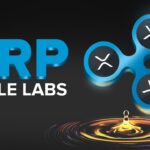 What is Ripple? XRP Explained with Animations