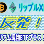 【 リップル（XRP）】急反発！【仮想通貨】機関投資家からの流入報告