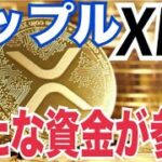 リップル（XRP）価格の更なる上昇を予測！？リップルステーブルコインヤバい！