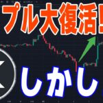 【仮想通貨分析】リップル裁判が終結でリップルが急騰🔥XRP時代復活か？？