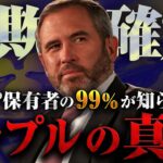 【リップル(XRP)】急騰しないのは詐欺コインだったから!?とある専門家が警鐘を鳴らすリップルの真実とは…【仮想通貨】【BTC】【SHIB】【SOL】