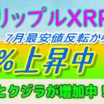 【 リップル（XRP）】7月最安値反転から70％上昇！【仮想通貨】サメとクジラ動向！8月1日の注意点