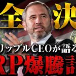 【リップル(XRP)】新たに独自ステーブルコイン発行で爆騰間近！99％が気付いてないリップル裁判の最新情報からも紐解く、爆騰するまでのシナリオとは【仮想通貨】【BTC】【RLUSD】【SHIB】
