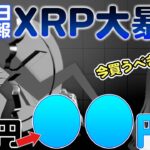 リップル最新情報！暴落で落ち込んでいる人必見の重要ポイントを解説します【仮想通貨】【XRP】【BTC】【ビットコイン】