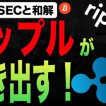 【XRP】リップルとSECの戦いが決着！？今後のリップルの価格はどうなる？【時価総額7位】