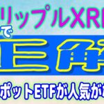 【 リップル（XRP）】XRPで正解だったもよう！【仮想通貨】ビットコイン今は、人気ない⁉