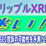 【 リップル（XRP）】リップルXRP訴訟: 弁護士がSEC控訴の可能性を予測⁉【仮想通貨】