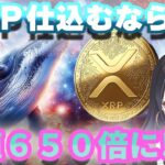 【リップル】大口投資家が動く！まもなくXRPの価格が上昇します！【仮想通貨】【XRP】【BTC】【ビットコイン】【SHIB】