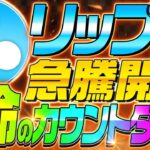 【仮想通貨(リップル)】最新情報❗️XRPが遂に裁判に勝訴！リップル裁判の後は〇〇に注意！今後のスケジュールを徹底解説！【XRP(ソラナ)】【イーサリアム(ETH)】