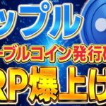 【リップル(XRP)】リップル社がステーブルコインを発行！XRPの需要急増か？！【仮想通貨】【SOLVM】