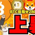 【🔥急に上がったぞ？】ビットコイン回復！仮想通貨の夏が来る？／大統領選トランプ危うし？／ソラナがイーサリアムより強い？／ミームコイン？ドージコイン・柴犬が苦しい／急上昇コインは〇〇