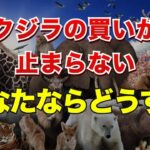 クジラの買いが止まらない。あなたならどうする？