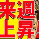 ⚠️底打ち⁉︎⚠️ビットコインは来週上昇するのか⁉︎今後のポイントは〇〇です！【仮想通貨】
