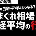 最近の気まぐれ相場！今後の日経平均株価の行方は？ズボラ株投資