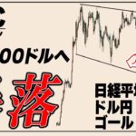 ビットコインまた暴落。日経平均などの株式市場も大暴落。この後の逃げ場