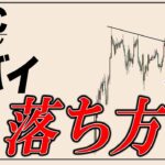 【急落】ビットコインバブル終了の予兆