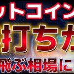 ビットコイン底打ち完了した！？９月大きく飛躍する相場になるとの分析が？？エヌビディア好決算か！？