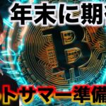 仮想通貨にアルトサマーが来る！アメリカはどうビットコインを買うのか。