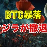 ビットコイン暴落！クジラが撤退！？