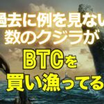 過去に例を見ない数のクジラがビットコインを買い漁っている