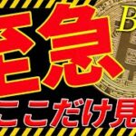 ⚠️絶対見て⚠️ビットコインは今後〇〇だけ見ろ！最新分析を共有します！【仮想通貨】