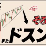 ビットコイン週末にかけて再び下落する理由と下落相場で勝つ方法【イーサリアム,リップル】